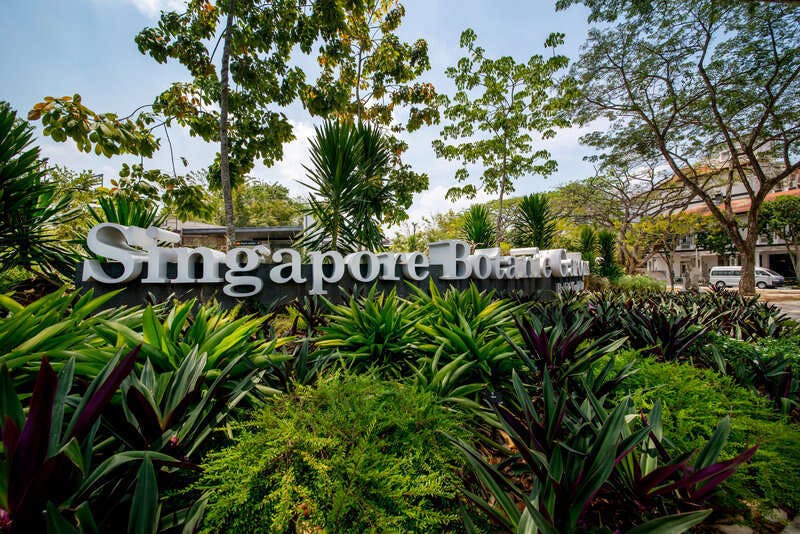 Hotel Voco Orchard Singapore By Ihg photo 3