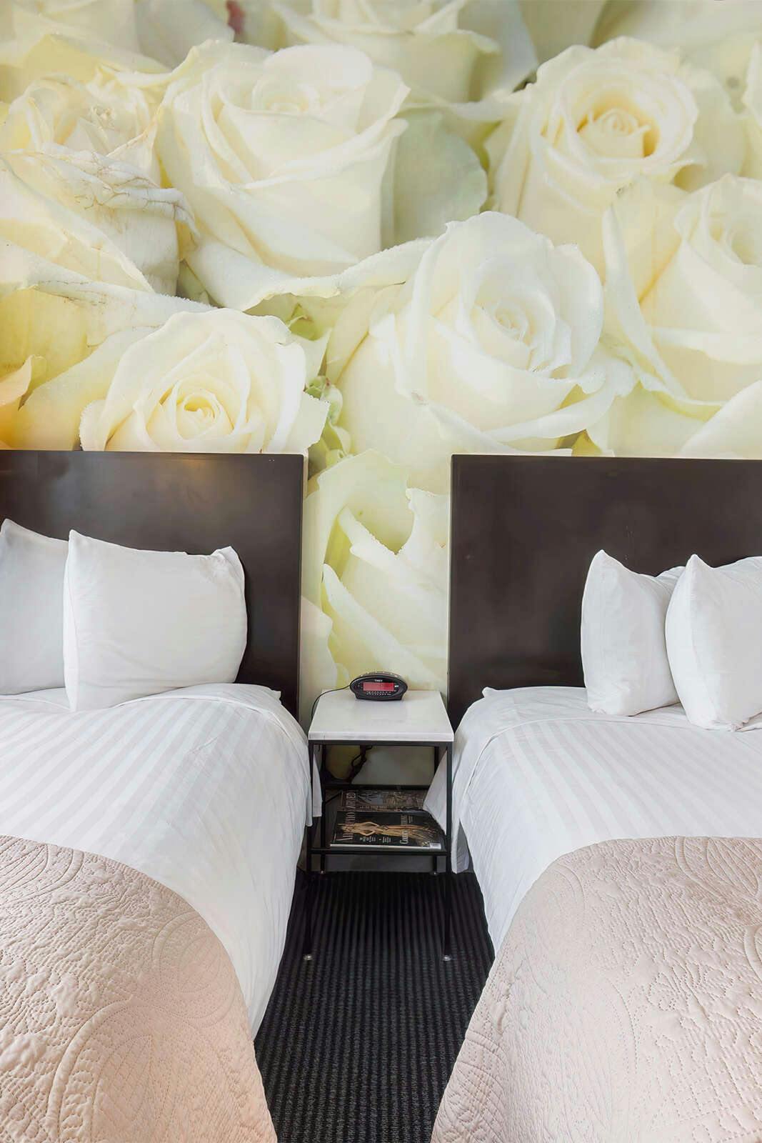 Hotel O Hotel photo 3