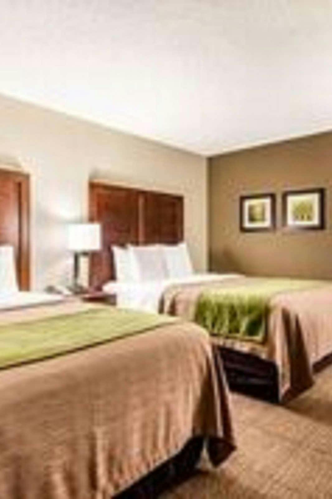 Hotel Comfort Inn & Suites Omaha photo 3