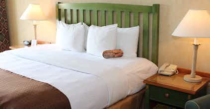 Hotel The Wildwood Lodge photo 4