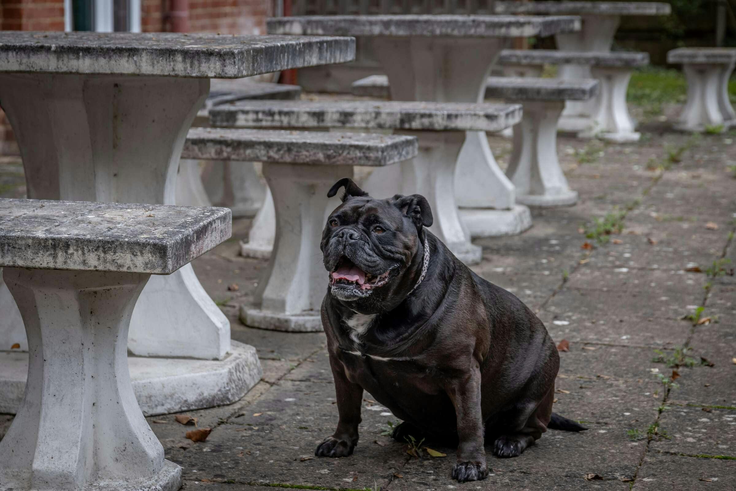 Hotel Best Western Abbots Barton Hotel photo 1