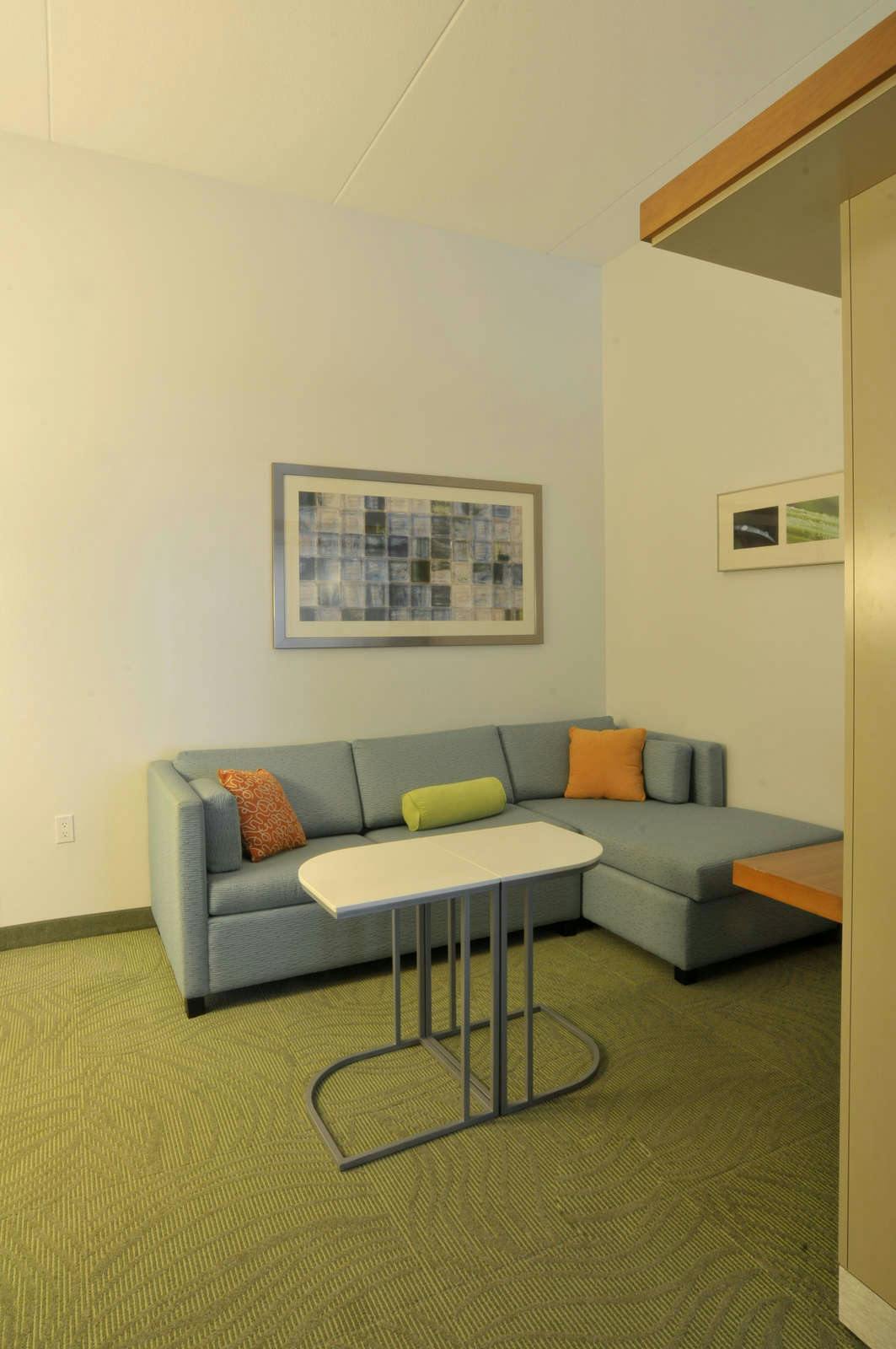 Hotel SpringHill Suites Cincinnati Airport South photo 5