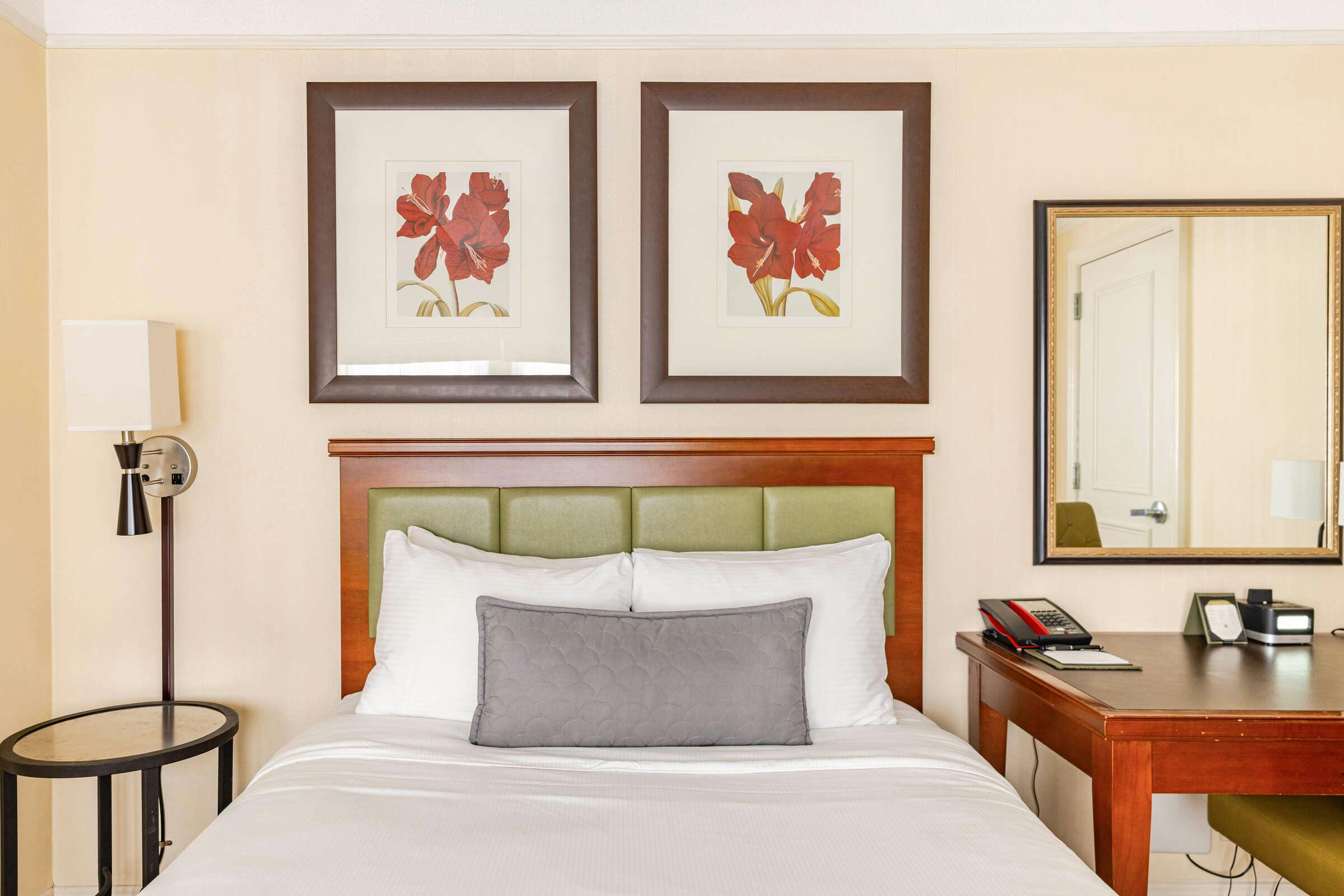 Hotel San Carlos Hotel photo 3