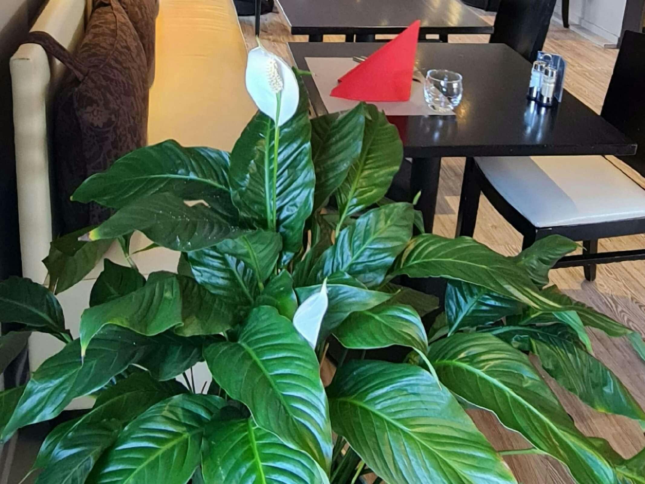 Hotel Ibis Vannes photo 4