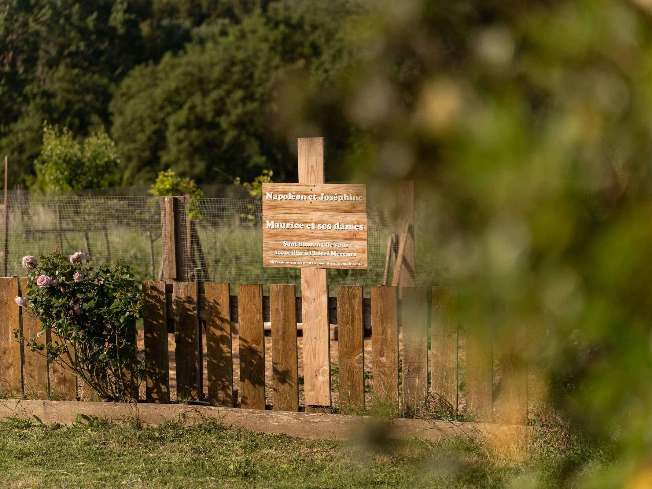 Hotel Hôtel Mercure Aix En Provence Sainte Victoire photo 4