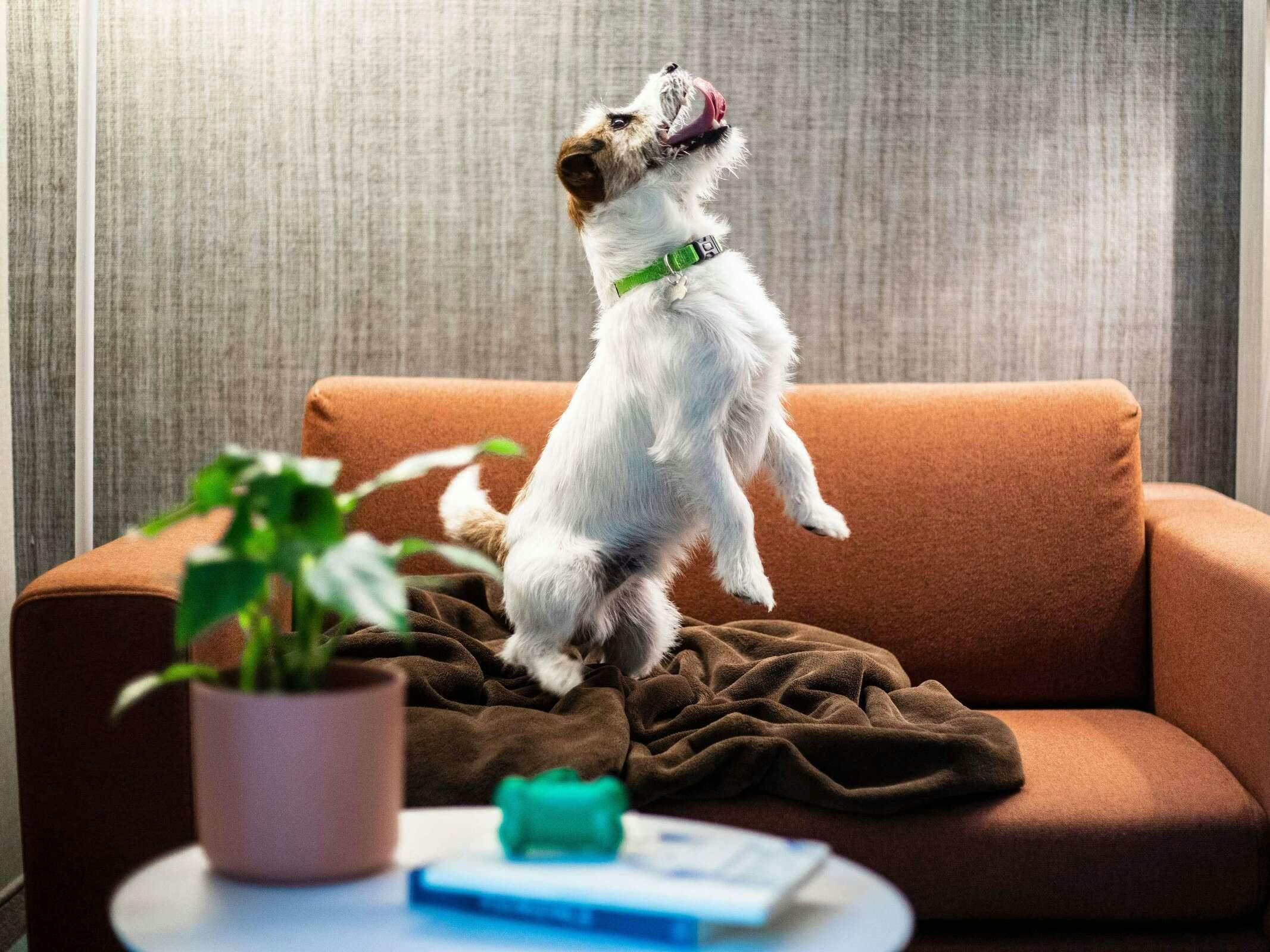 Hotel Mercure Firenze Centro photo 4