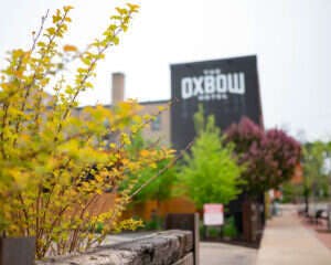 The Oxbow Hotel