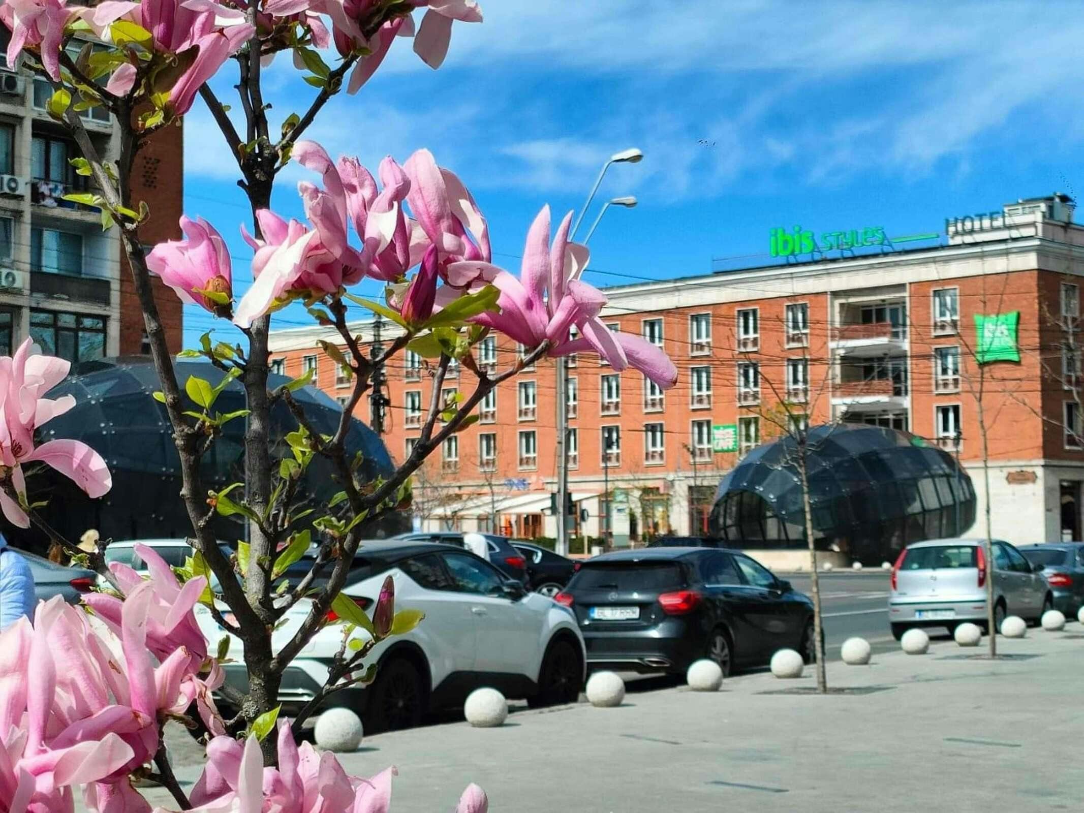 Hotel Ibis Styles Dunarea Galati photo 5