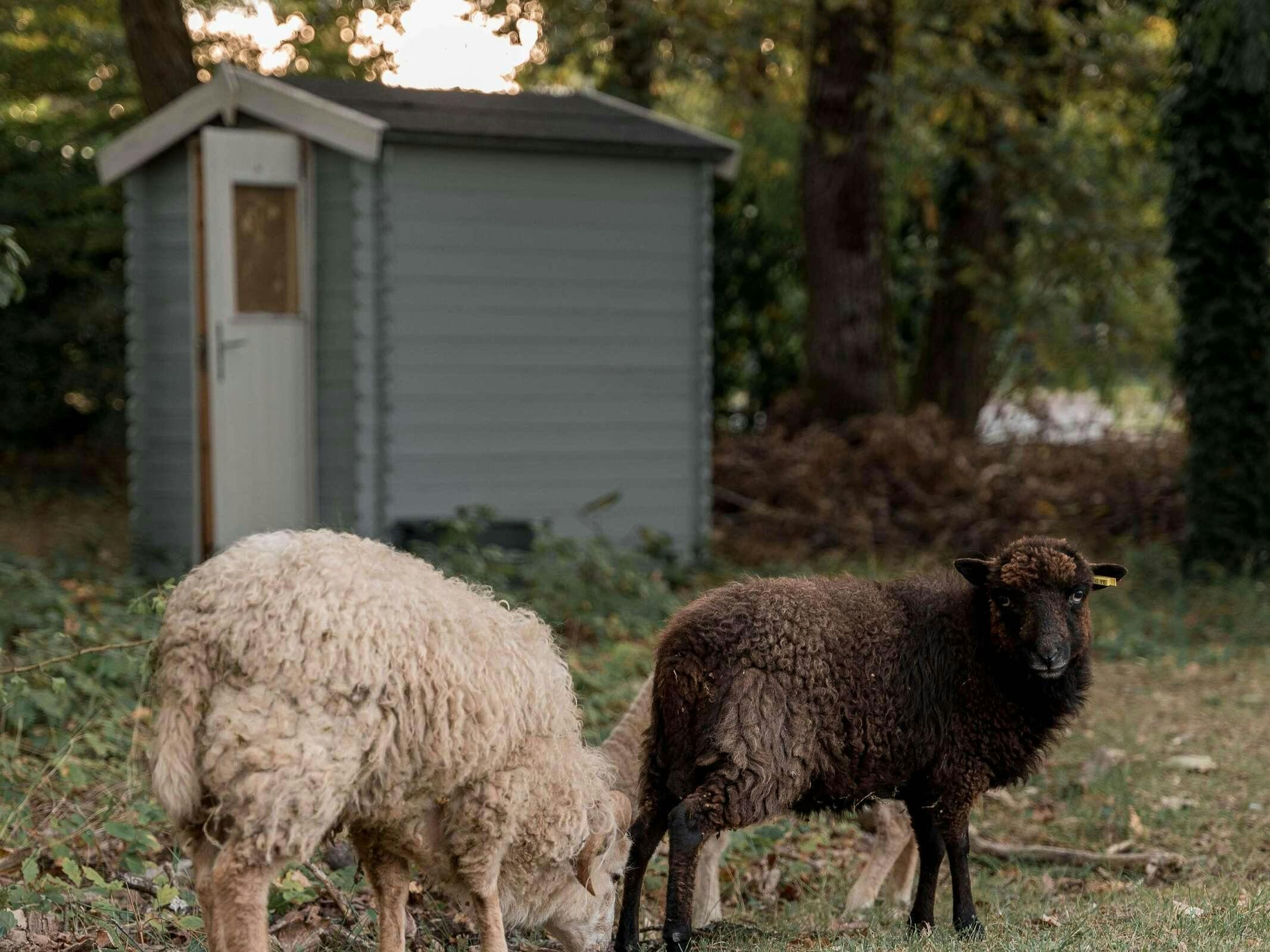 Hotel Novotel Orléans Sud La Source photo 2