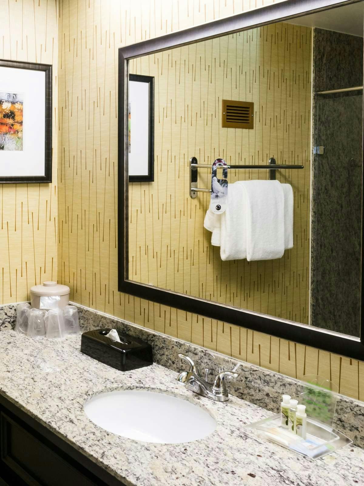 Hotel Holiday Inn Big Rapids photo 3