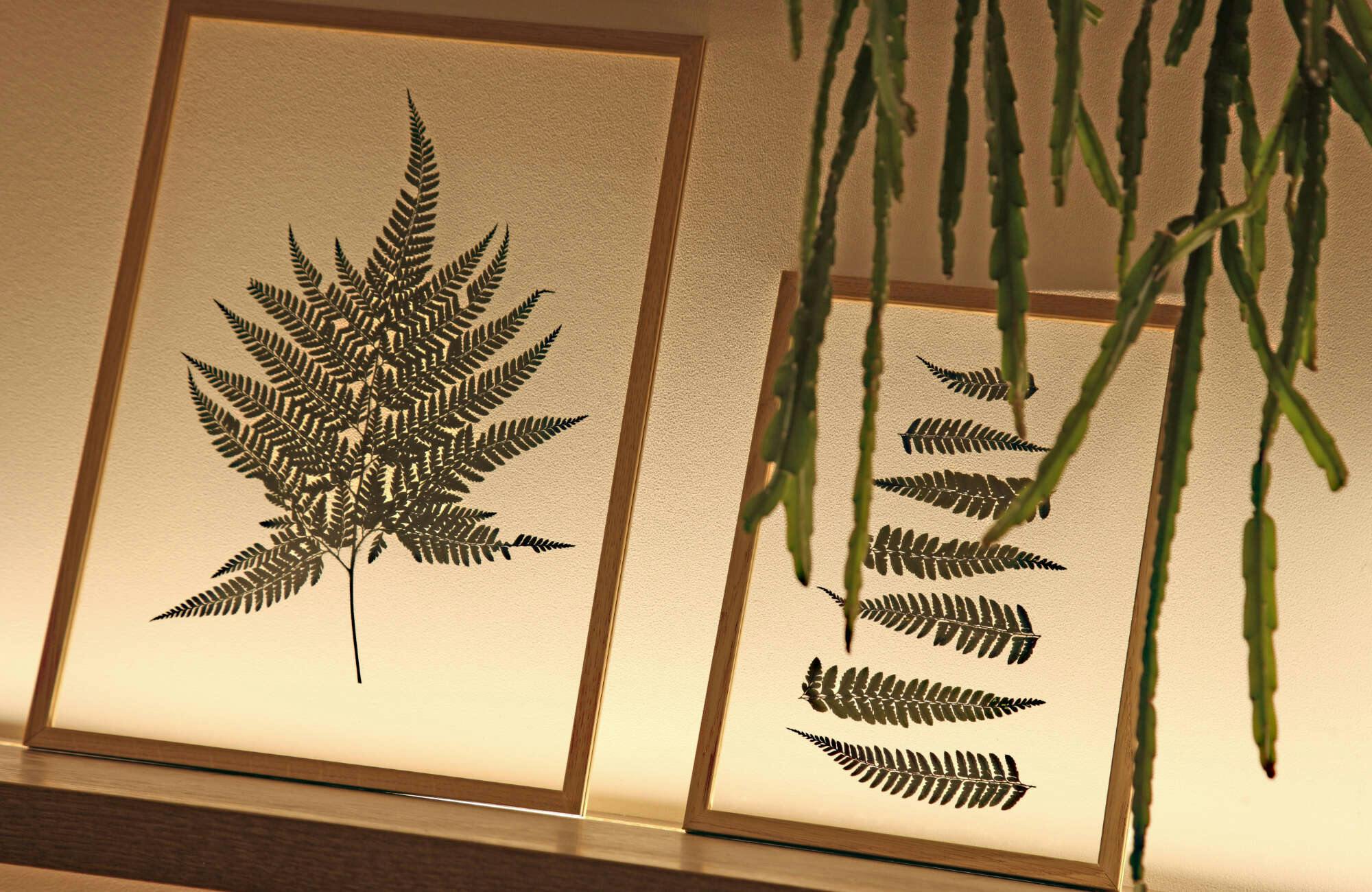 Hotel The Moods Catedral Hostal Boutique photo 4