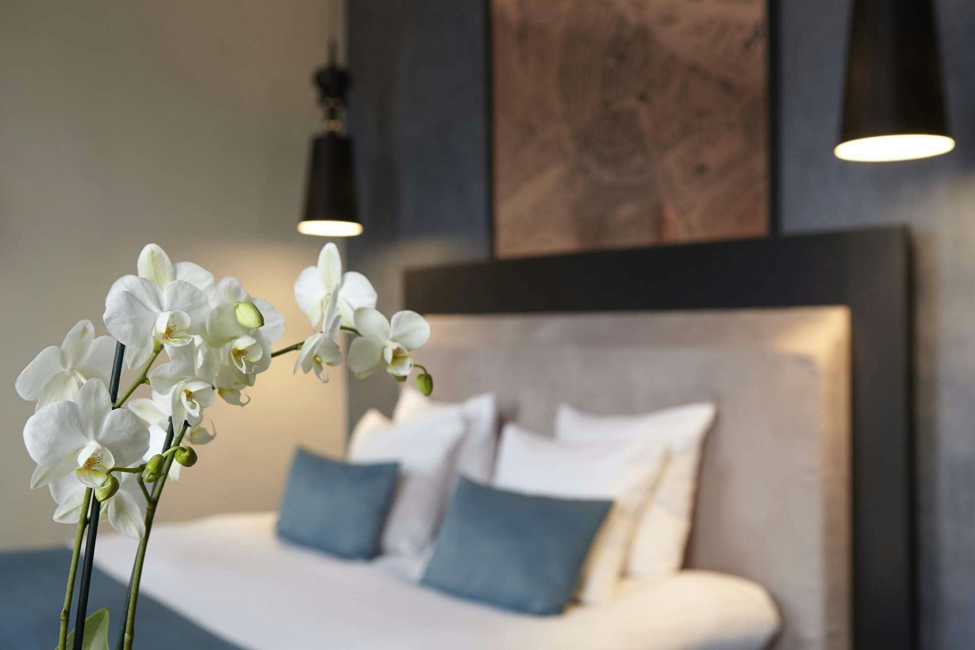 Hotel No. Three Seven Seven House photo 3