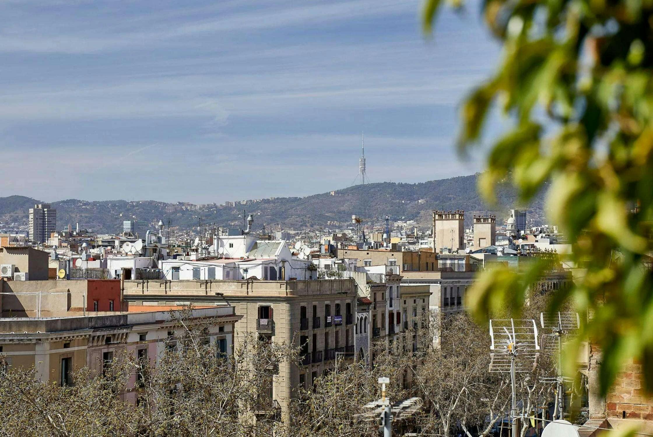 Hotel Hotel Flor Parks photo 2