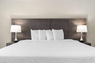Hotel Serene Vegas Boutique Hotel photo 5