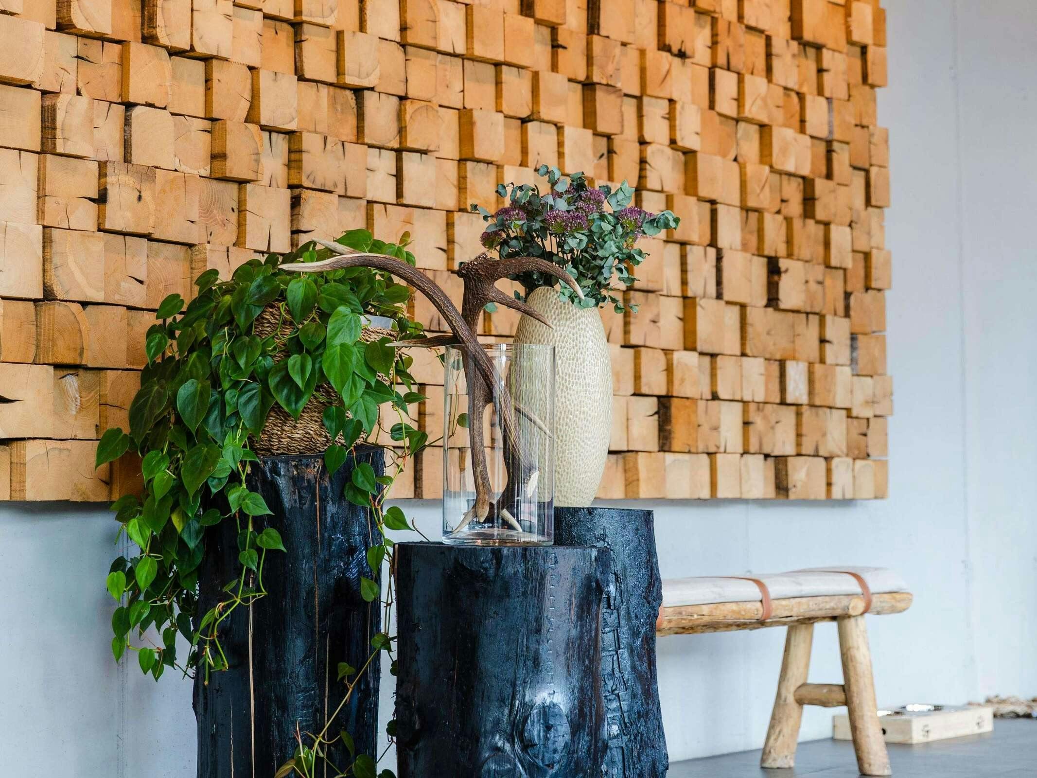 Hotel ibis Styles Nagold-Schwarzwald photo 4