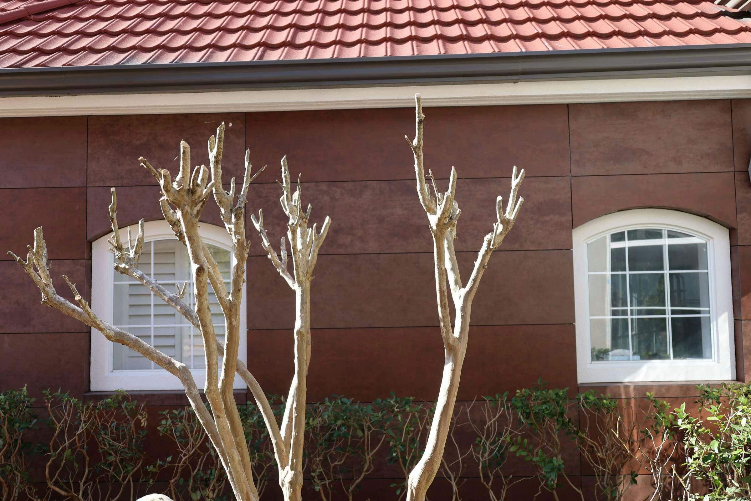 Hotel La Quinta Inn Ste Ocala photo 2