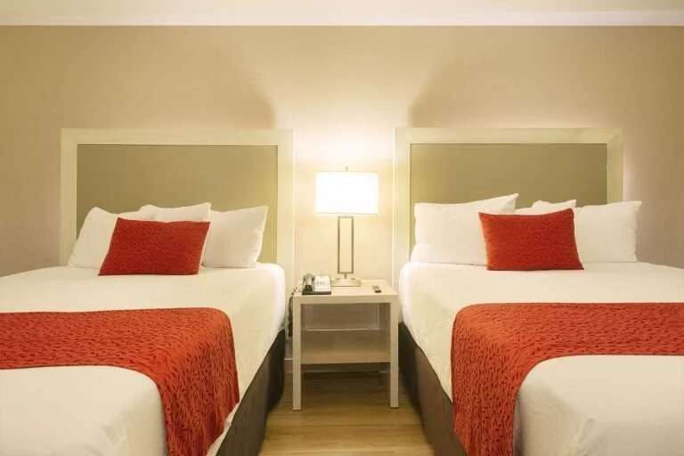 Hotel Stanza Hotel CDMX photo 4