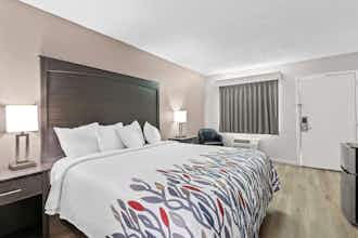 Hotel Red Roof Inn Panama City Beach photo 3