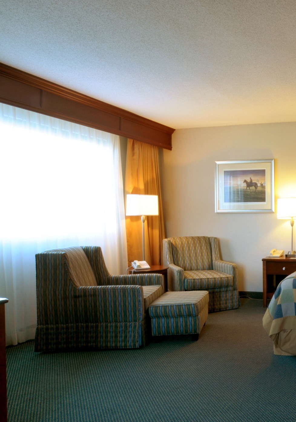 Hotel Hilton Cincinnati Airport photo 5