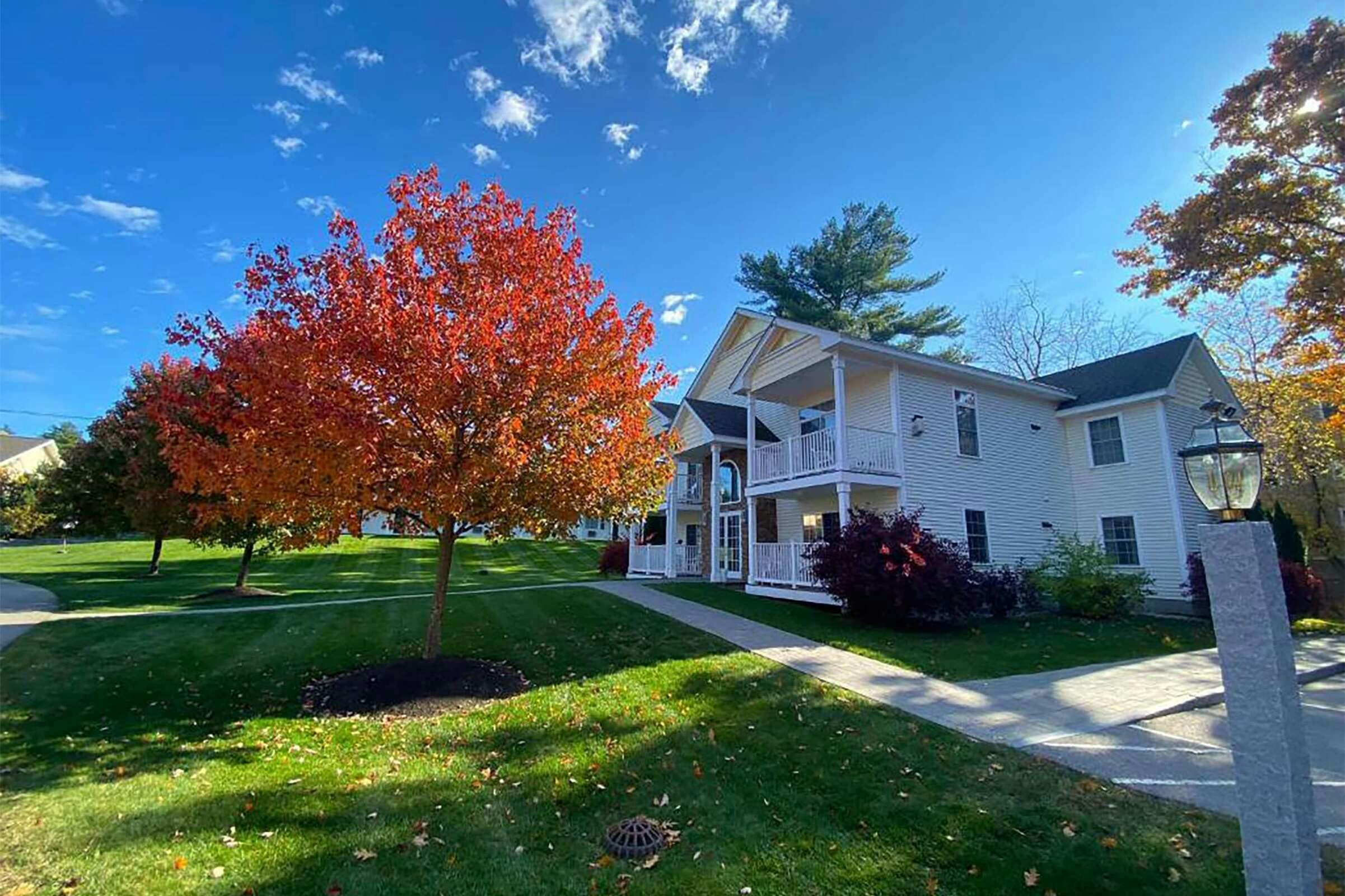 Golden Gables Dazzler Select