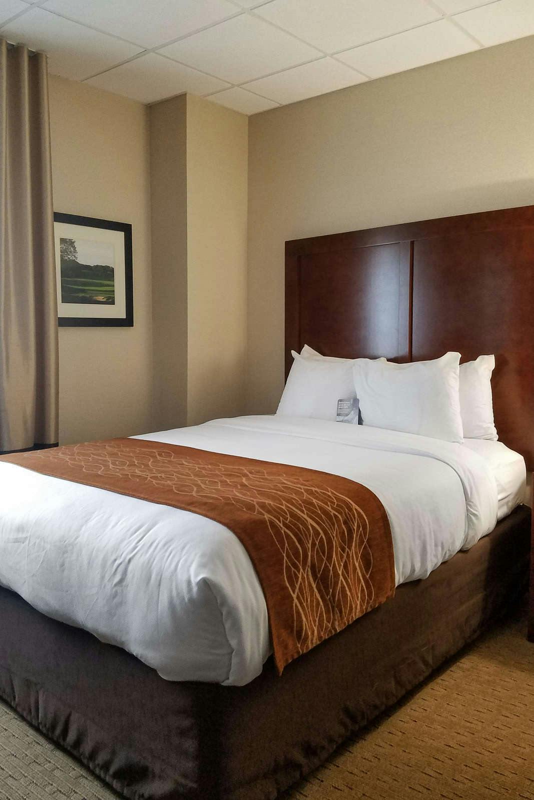 Comfort Inn Syosset Long Island Hoteltonight