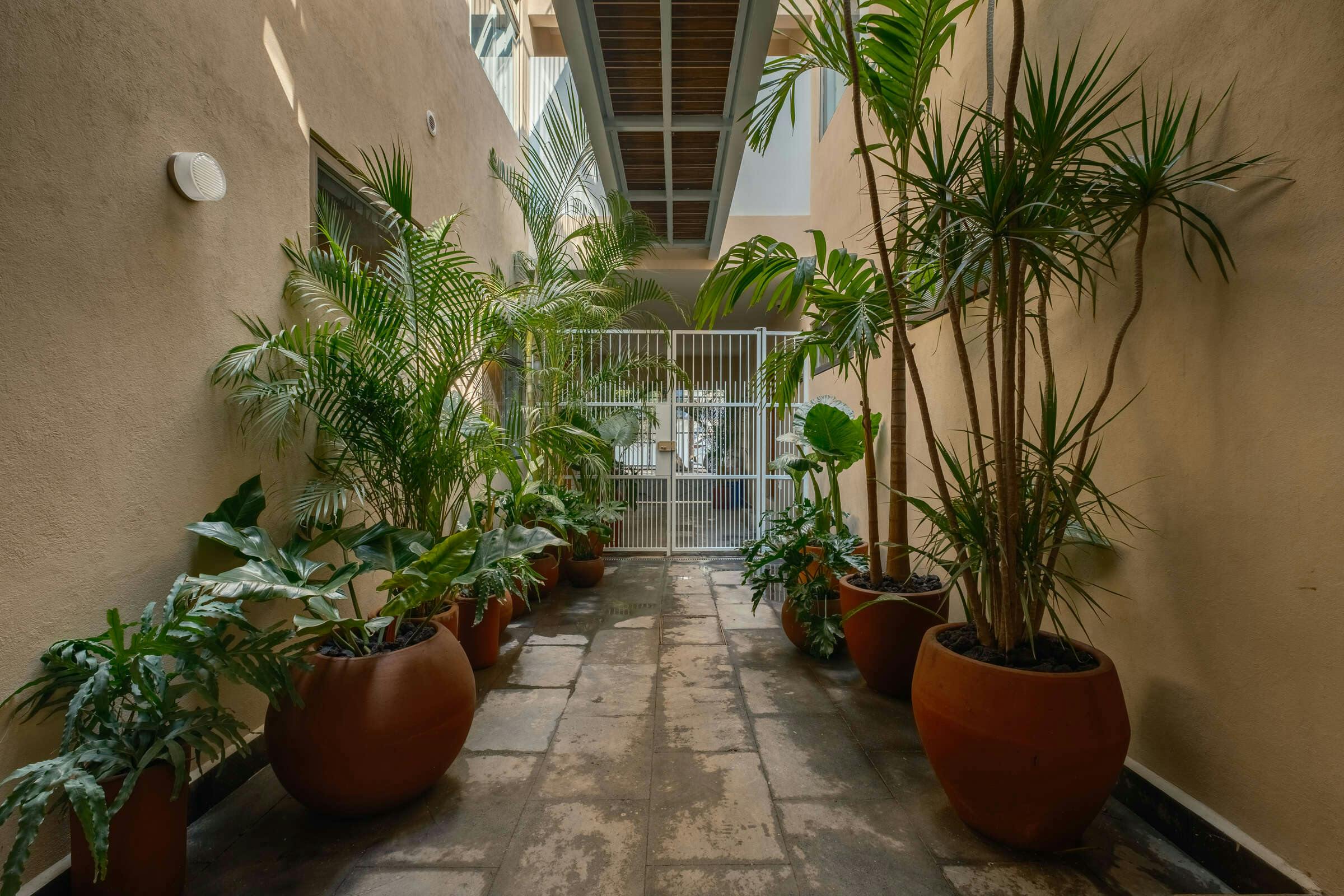 Cholula Condesa Hotel by Lumina