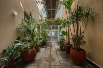 Hotel Cholula Condesa Hotel by Lumina photo 4