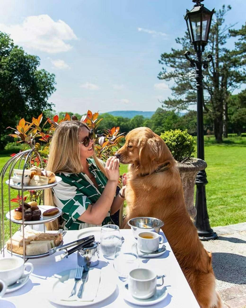 Hotel Stanhill Court Hotel Gatwick photo 3