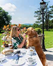 Hotel Stanhill Court Hotel Gatwick photo 3