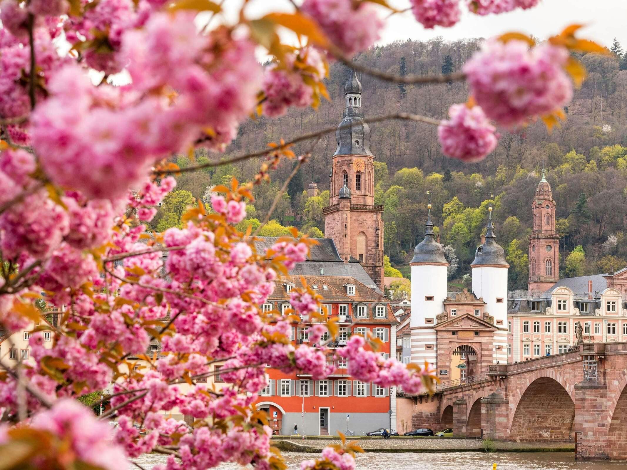 Hotel Ibis Heidelberg Hauptbahnhof photo 2