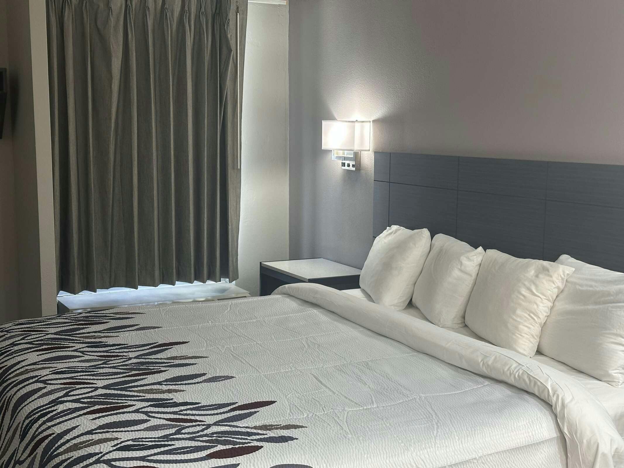 Hotel Red Roof Inn Media photo 2