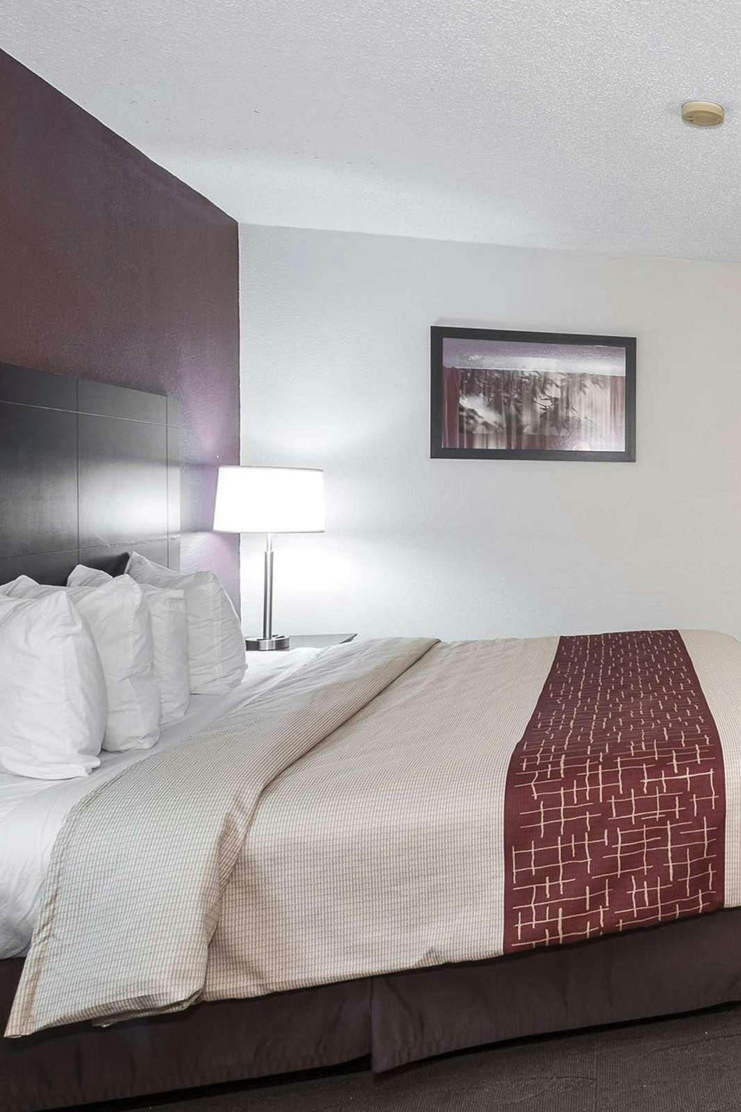 Red Roof Inn Dumfries Virginia Around Me Hoteltonight