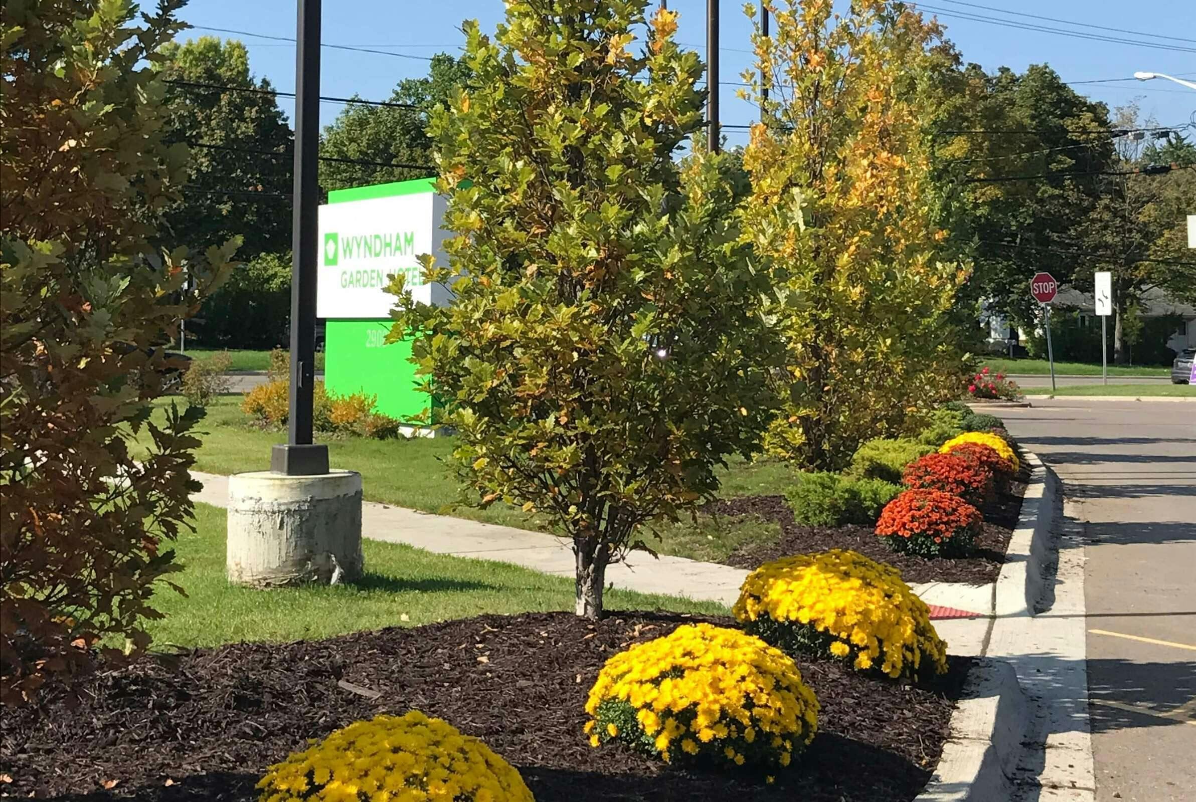 Hotel Wyndham Garden Ann Arbor photo 1