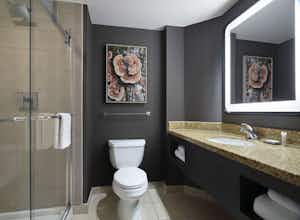 Hotel Marriott Denver South at Park Meadows photo 2