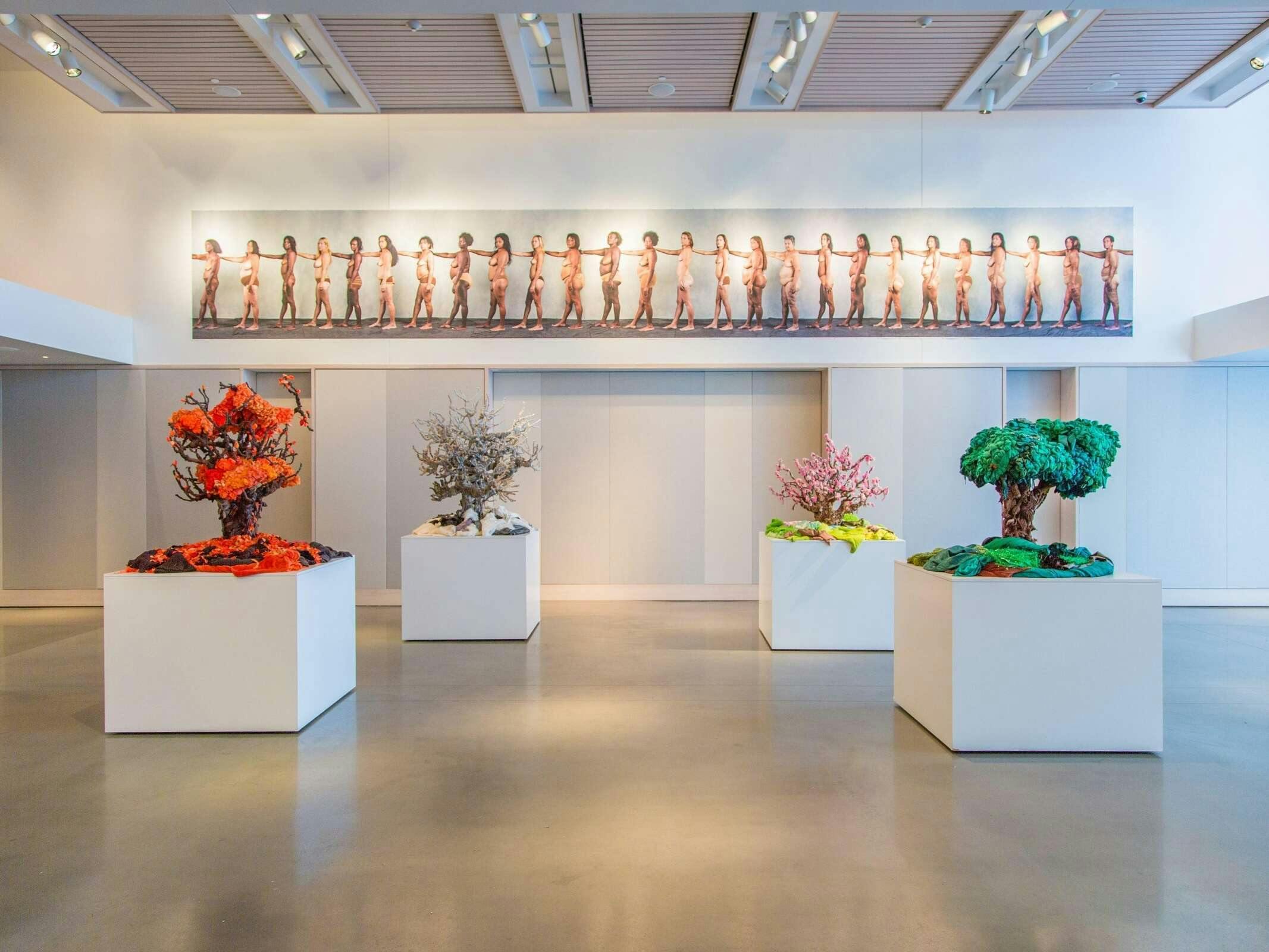 Hotel 21c Museum Hotel Lexington photo 4