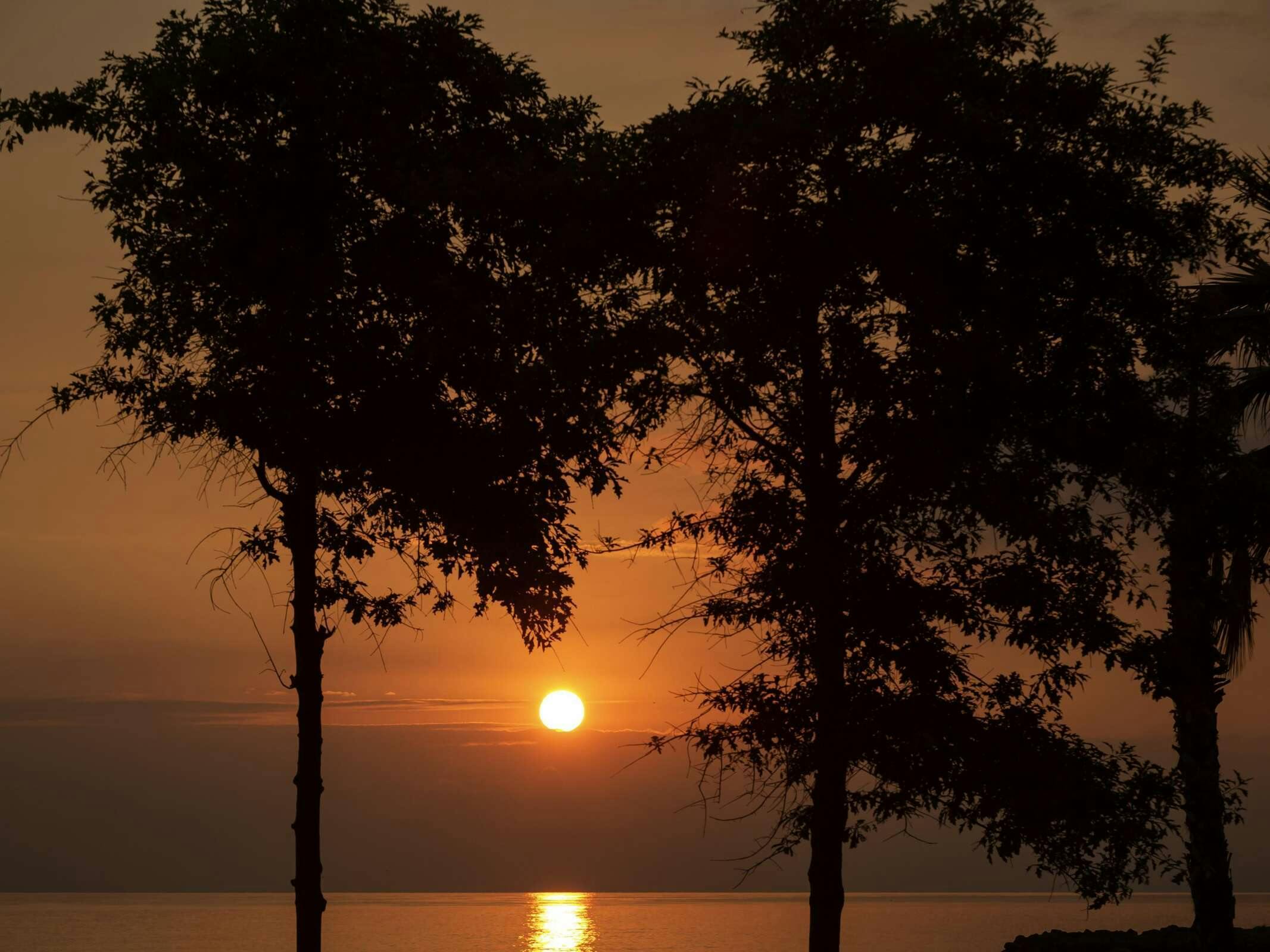 Hotel Mövenpick Hotel Trabzon photo 1