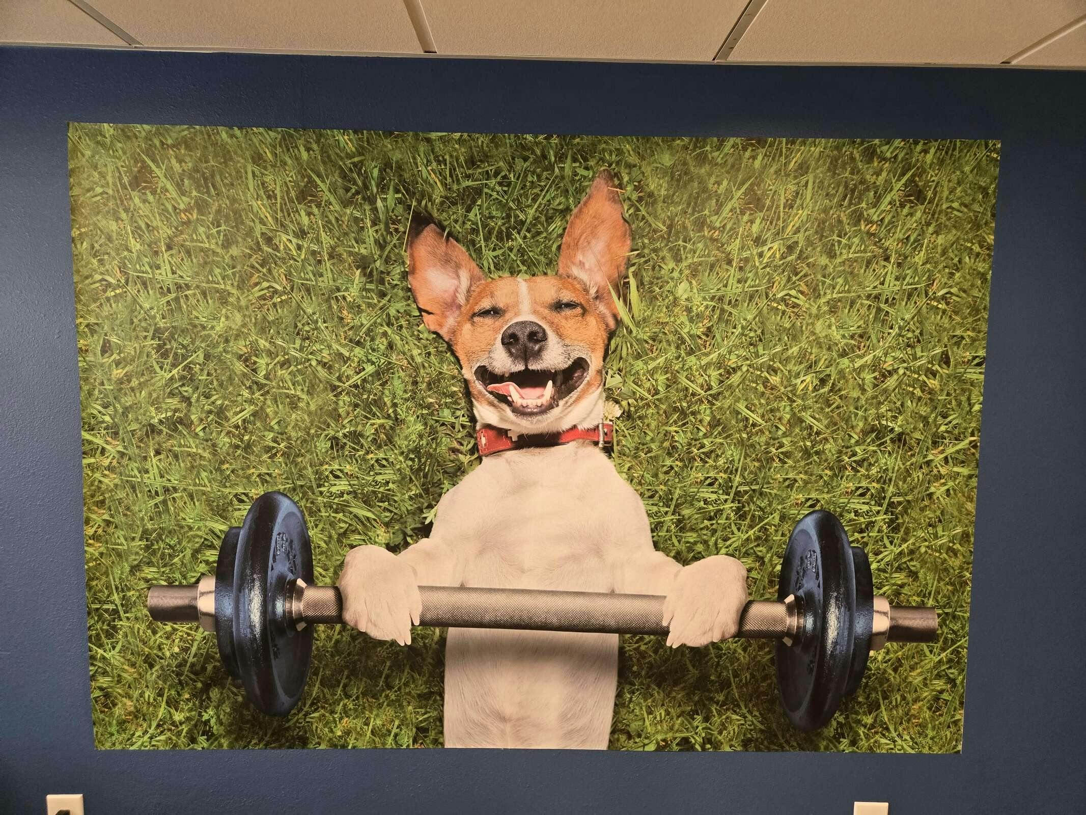 Hotel Best Western North I 25 Hotel photo 2