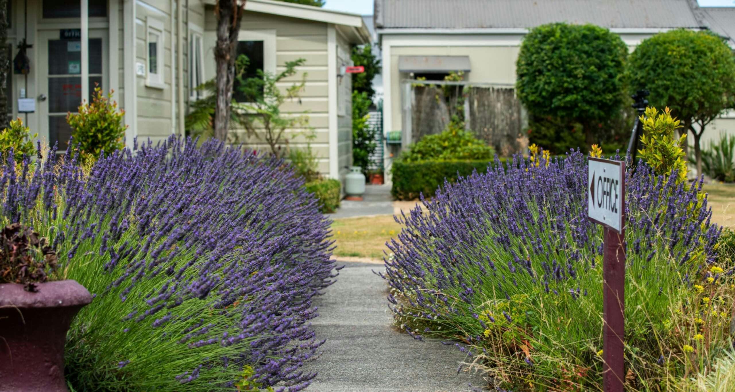 Hotel U Studios Masterton, Sure Stay Collection By Best Western photo 1