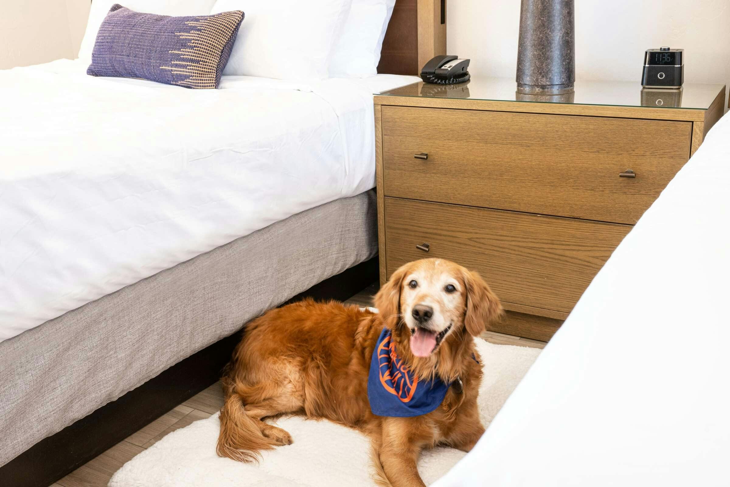 Hotel Sky Rock Sedona, a Tribute Portfolio Hotel photo 2