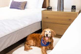 Hotel Sky Rock Sedona, a Tribute Portfolio Hotel photo 2