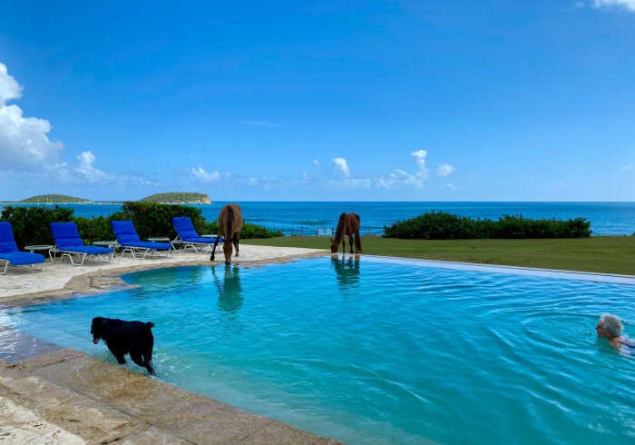 Hotel Blue Horizon Boutique Resort photo 1