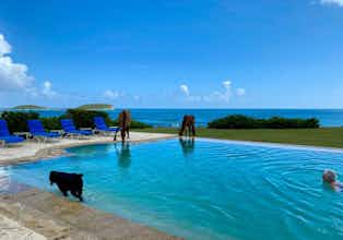 Hotel Blue Horizon Boutique Resort photo 1