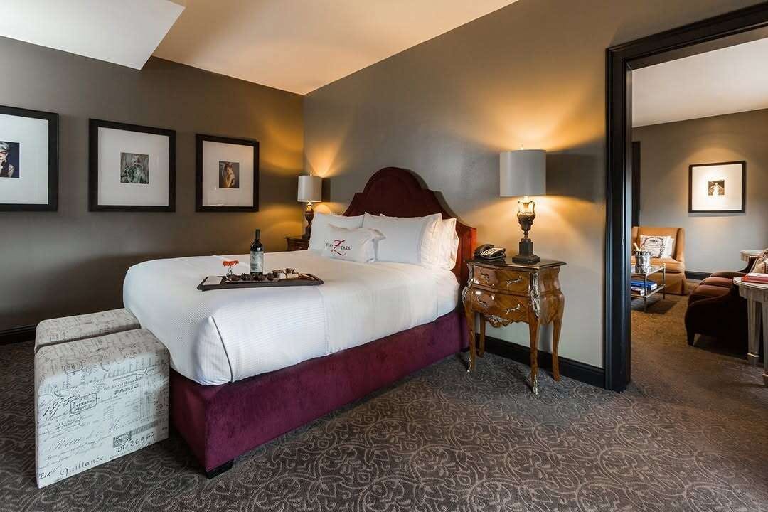 Hotel Hotel ZaZa Houston Museum District photo 4