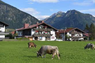 Hotel Best Western Plus Hotel Alpenhof photo 3
