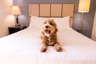 Hotel Sonesta Simply Suites Irvine Spectrum photo 2