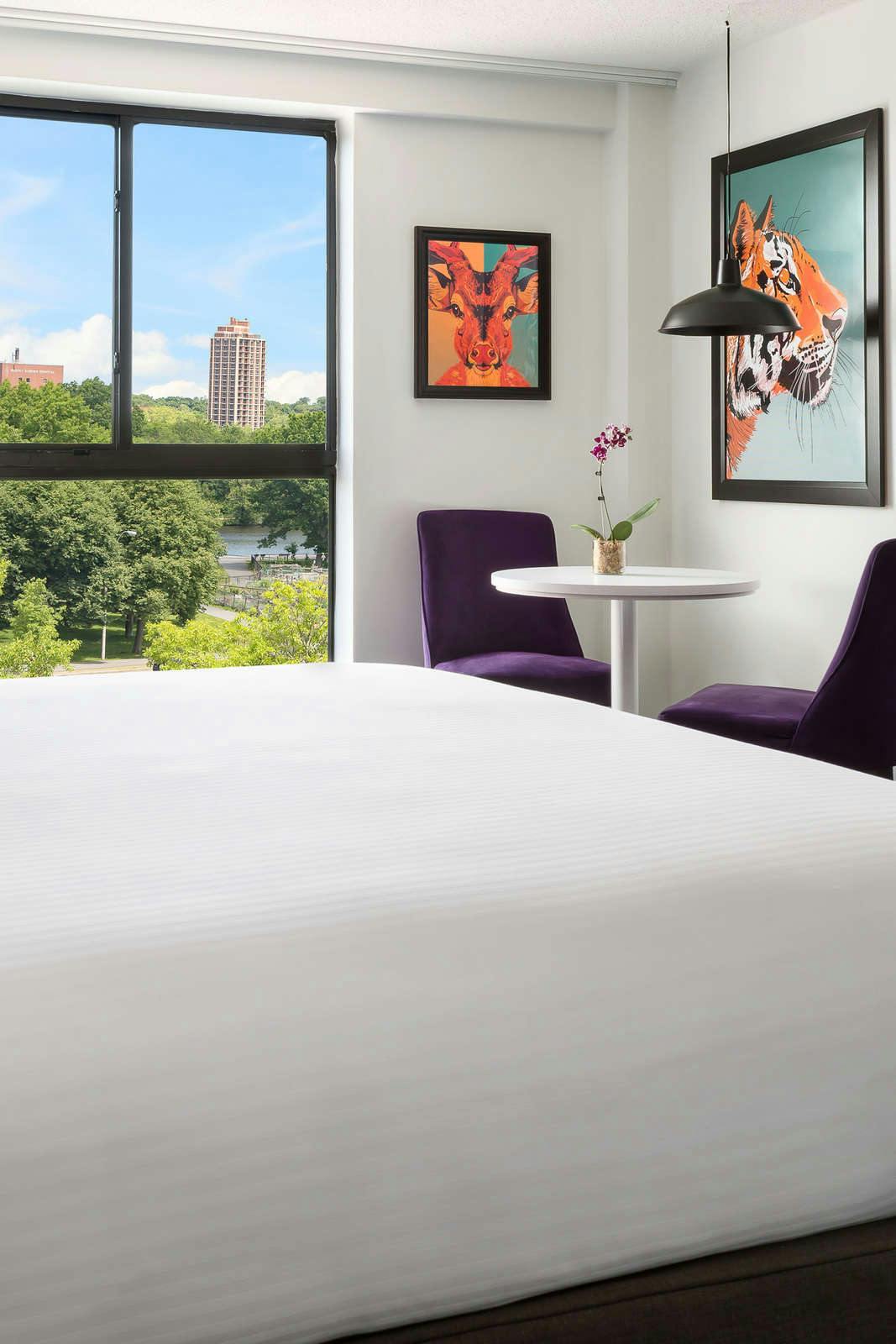 Hotel Studio Allston Hotel photo 5