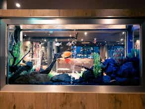 Hotel Ibis Portsmouth Centre photo 3