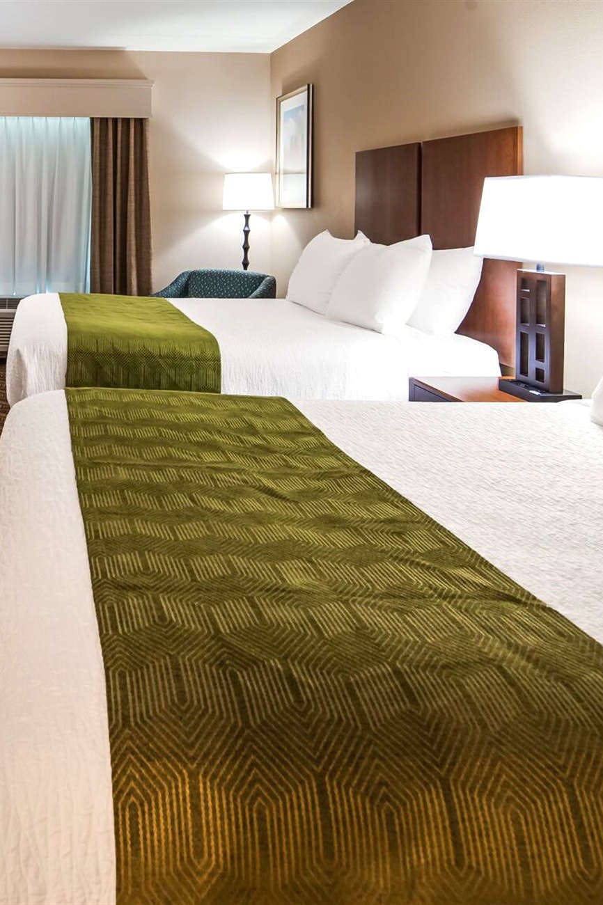 Hotel Best Western Athens photo 3