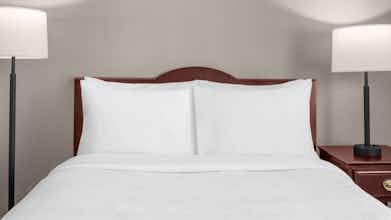 Hotel Larkspur Landing Pleasanton - An All Suite Hotel photo 4