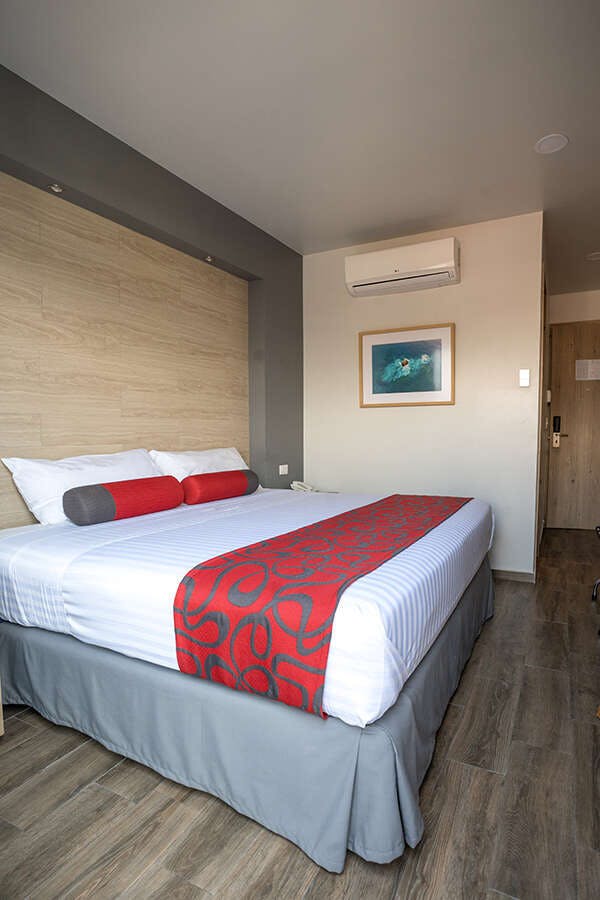 Hotel Hotel Roble photo 4